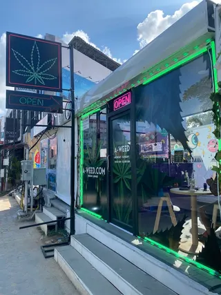 A Weed Chaweng Cannabis Store | Marijuana Shop | Dispensary Koh Samui