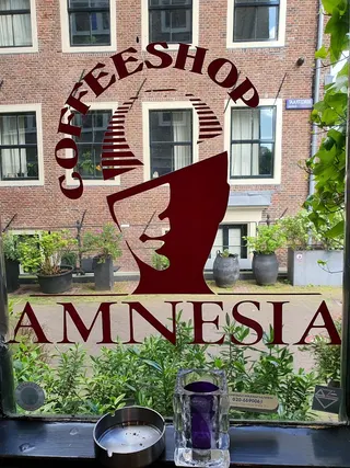 Amnesia Cannabis THC Dispensary