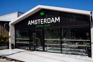 Amsterdam Coffee Shop - Cannabis Shop