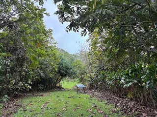 Amy Greenwell Ethnobotanical Garden