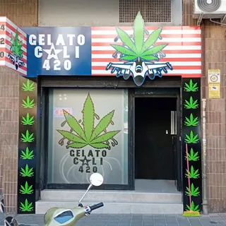 ASOCIACION CANNABICA - GELATO CALI 420 ALICANTE