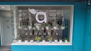 Atheneum Cannabis Kerrisdale