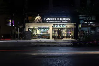 Bangkok Exotics Weed Dispensary