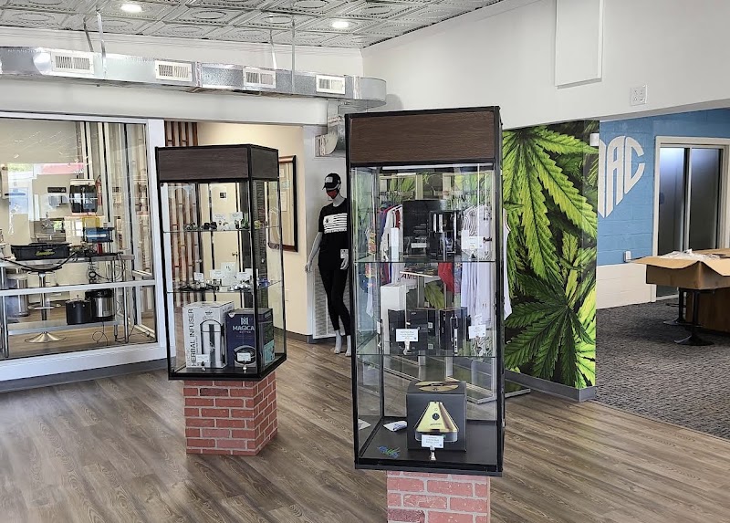 Bloom city wave cannabi's dispensary