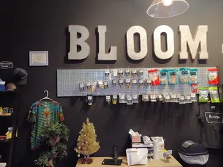 Bloom Montana (Billings)