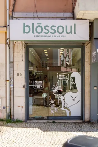 Blōssoul - Av. de Roma