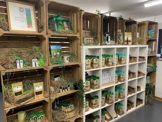 Body and Mind Botanicals