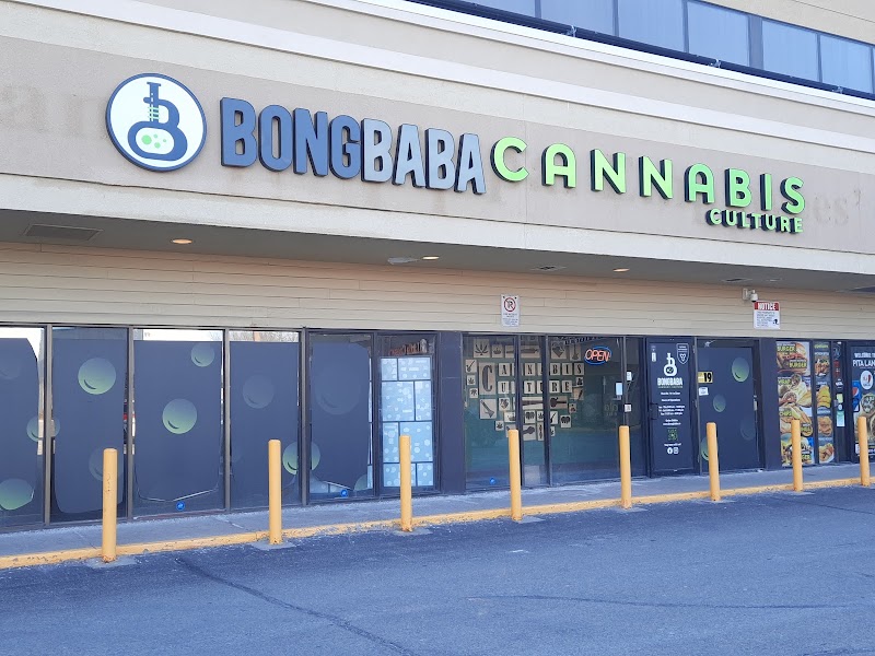 Bongbaba Cannabis Culture