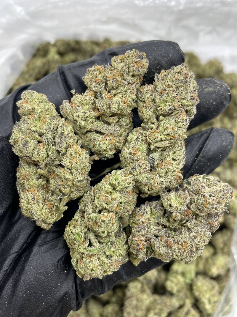 boutique de cannabis