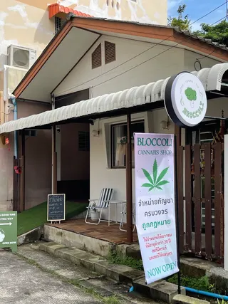 Broccoli.hdy (canna cafe hatyai)