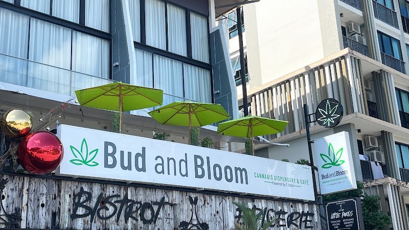 Bud and Bloom Bangtao - Medical Cannabis Dispensary