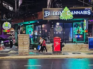 Buddy cannabis