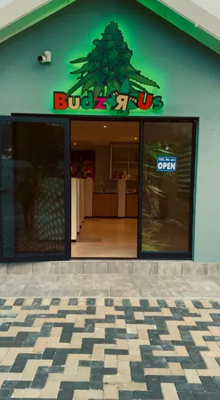 Budz r us