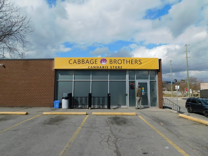 Cabbage Brothers Cannabis Store