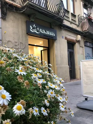 Calma Flower Farm