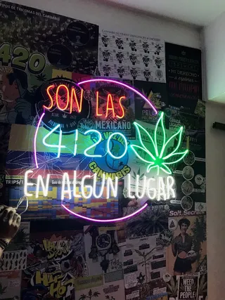 Cáñamo de la Montaña