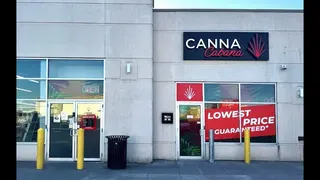 Canna Cabana