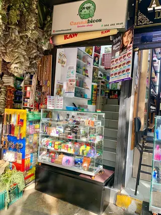 Cannábicos