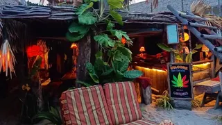 Cannabis Bar Lipe