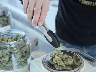 Cannabis Delivery Dispensary