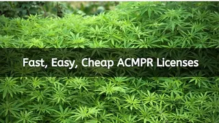 Cannabis Growing Canada