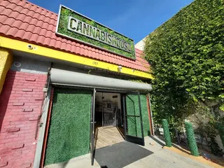Cannabis House Marijuana and Weed Dispensary