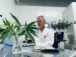 Cannabis Pharm
