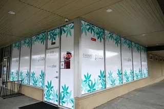 Cannabis Plus, photo 1
