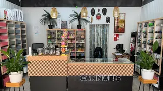 Cannabis Praia da Rocha - Store Stigma Free