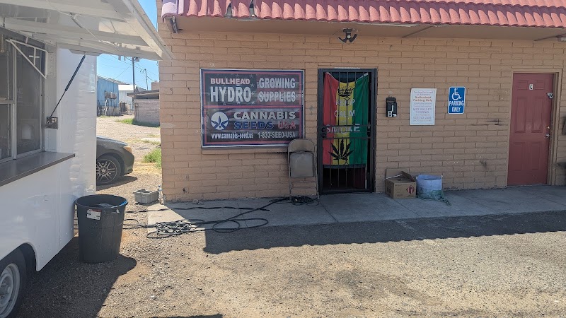 CANNABIS SEED USA