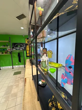Cannabis Shop