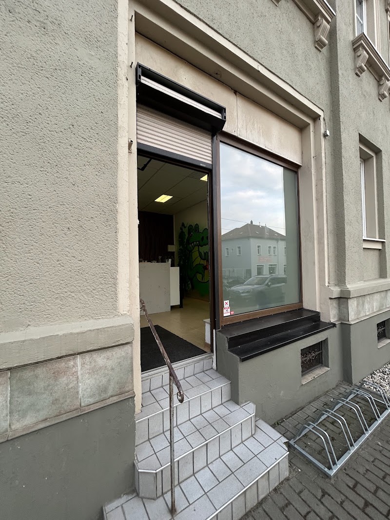 Cannabis Social Club Elbtalhanf e.V.