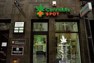 Cannabis Spot - Sklep konopny