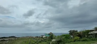 Cannabis Stop Negril