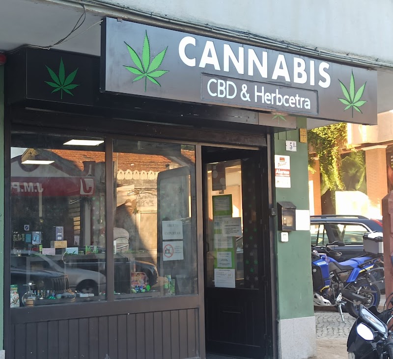 Cannabis Store Vila Franca de Xira