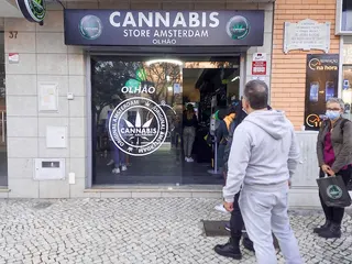 Cannabis World