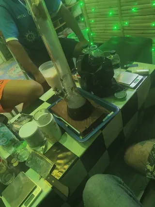 ร้านกัญชาCannabit สหายสายเขียว
