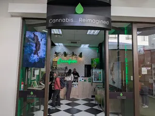 Cannafrica Stellenbosch