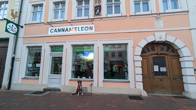 CANNAMELEON Cannabis-Shop Bamberg (Tabak, Vapes uvm.)