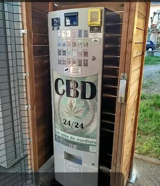 CBD 24/24 - Greenvibe