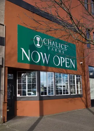 Chalice Weed Dispensary Downtown