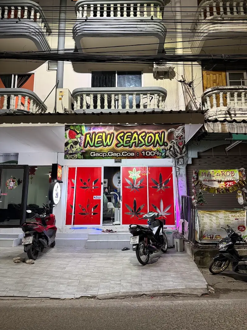 Cheap weed Pattaya-กัญชาใกล้ฉัน Cannabis Store
