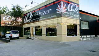 CO2 Grow Shop Arganda | Cultivo y CBD Madrid
