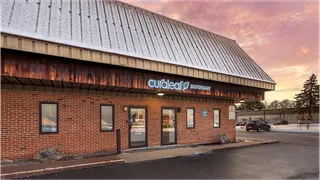 Curaleaf Dispensary Hartford
