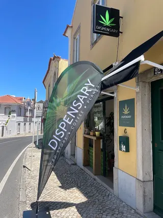 Dispensary Sintra