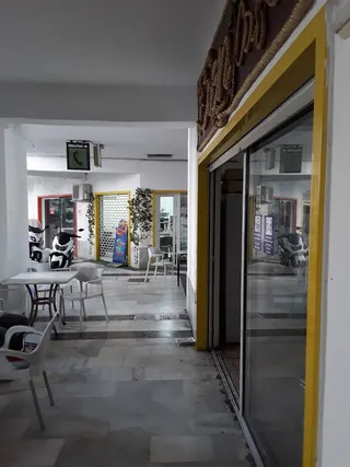 Dolphin Gang Social club
