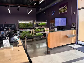 Elemental Wellness Cannabis Dispensary San Jose