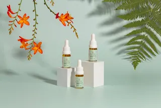 Enjoy CBD