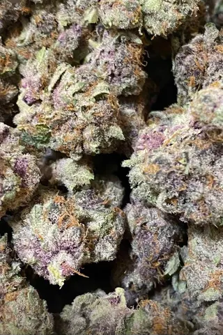 Exotic Weeds