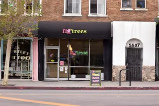 Fig Trees